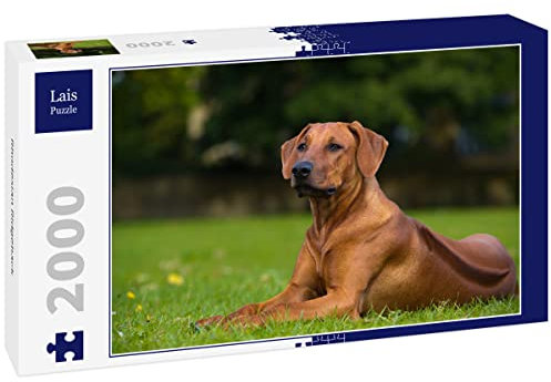 Lais Puzzle Rhodesian Ridgeback 2000 Teile
