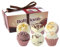 Badebombenn Geschenkset - 6 BIO Aromatherapie Badebomben, Stressabbau & Entspannung Duftdusche Badesalz Ball für Valentinstag/Geburtstagsgeschenk/Muttertag/Geschenkideen für Frauen