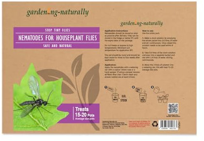 House Fly Nematodes for Indoor Plants – Natural Pest Control for House Flies in Houseplants and Seedlings