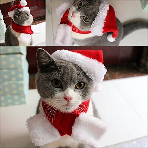PETLESO Katze Weihnachtsmütze und Weihnachten Roter Schal Weihnachtskostüm für Katzen Katzenkostüm Weihnachten Weihnachtsoutfit für Katzen/Kleine Hunde