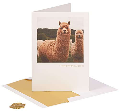 NIQUEA.D Geburtstagskarte mit Lama-Foto, NB-0146