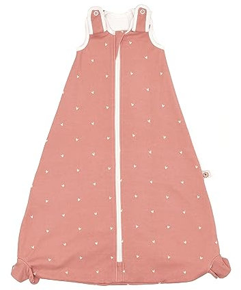 ERGObaby Ganzjahres Baby-Schlafsack mit Füßen Gurtschlitz 6-18 Monate Baumwolle TOG 1 Sommer Winter, On The Move Rose Hearts