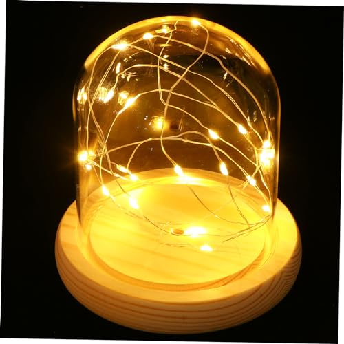 Yardenfun Feuerbaum-silbernes Blumen-nachtlicht Mini-kastenform Dekorative Lampe Led-lichterkette Schreibtischaufsatz Ölwanne Lampe Vase Led-leuchten Glas Fee Licht