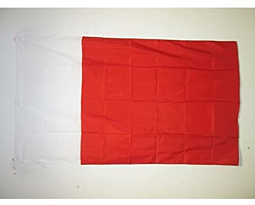 AZ FLAG - Flagge Emirat Dubai - 150x90 cm - Dubai Fahne 90 x 150 Cm Scheide Für Mast - Flaggen