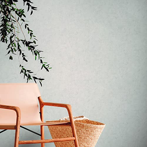 A.S. Création Uni Tapete Used Look Grau Nachhaltig - Natural Living 386394 - Vliestapete Vintage - 10,05x0,53m Made in Germany