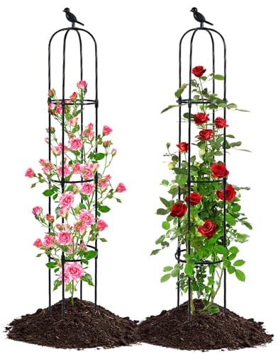 Yotoworth Lot de 2 tuteurs d'obélisque de jardin - 170 cm - Noir
