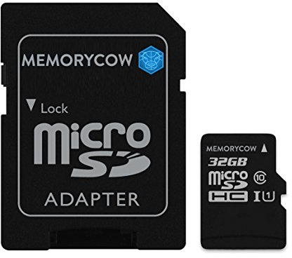 Kingston MicroSDHC SDC10/32GB 32 GB Class 10 Flash Card with SD Card Adapter