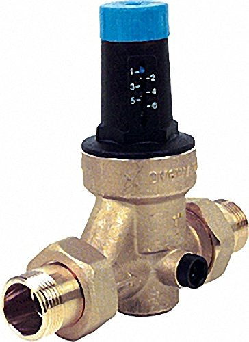 WATTS Druckminderer mit Gewindetüllen 1 1-2''