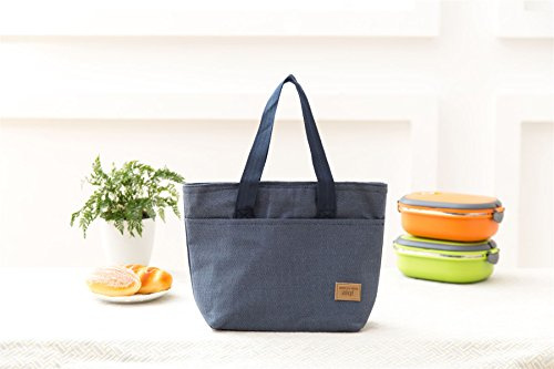 Vinsani Insulated Thermal Lunch Bag Portable Reusable Cooler Bag Unisex | Waterproof & Leak-Proof Design for Outdoor, Beach, Camping, BBQ & Travel, Lightweight & Foldable - Blue
