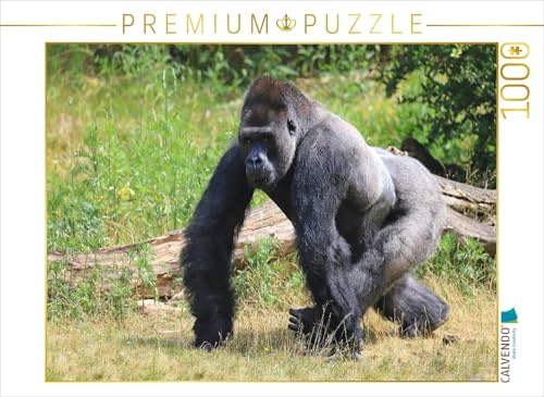CALVENDO Puzzle Westlicher Flachlandgorilla – Silberrücken Jambo (4) | 1000 Teile Lege-Größe 64 x 48 cm Foto-Puzzle für glückliche Stunden