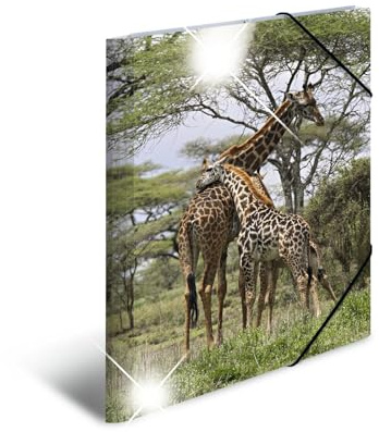 HERMA Sammelmappen A3 Giraffe Set, 3 Stück, Kinder Eckspanner-Mappen aus Kunststoff mit Tier Motiv, Hochglanz-Optik, Gummizug, Innenklappen und Innendruck für Jungen und Mädchen