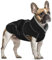 Hundejacke Mittelgroße Hunde, Hundejacke Wasserdicht Hundemantel Fleece Hundepullover Mittelgroße Hunde Winter Warme Hundebekleidung(Schwarz, M)
