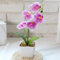 HpLive Orchids Artificial in Pots, Artificial Flowers in Pot, Simulated Flower, 5 Heads Phalaenopsis Small Bonsai for Wedding Party Table Toppers, Flower Arrangement, Home, Kitchen Decor (Purple)