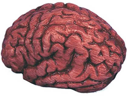 Fake Human Bloody Brain