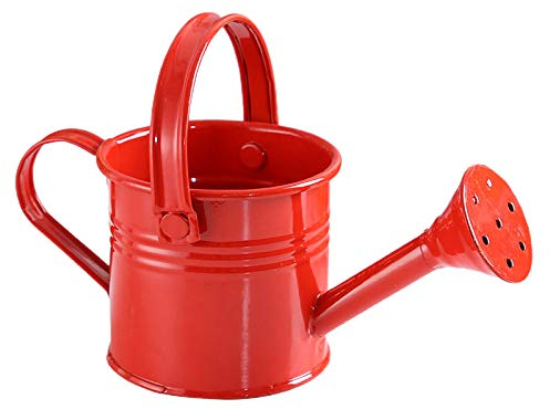 MCDSAJ Mini-Taschen-Gießkanne für Outdoor-Pflanzen, 15,2 x 7,6 cm, tragbar, langer Auslauf, Bewässerungskessel für Haus, Pflanzen, Garten, Blume, Terrasse und Rasen, 4 Stück