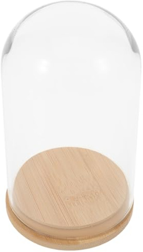 CONGARTENO Terrarium sous Cloche en Verre Transparent 70X120Mm avec Base en Bambou Étanche Vase pour Plantes Hydroponiques Jardinière Écologique pour Succulentes et Décoration Intérieure