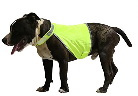 DONGKER Warnweste Hund, Verstellbar Neongelb Sicherheitsweste Hunde mit Reflektierenden Elementen für mehr Sicherheit im Dunkeln
