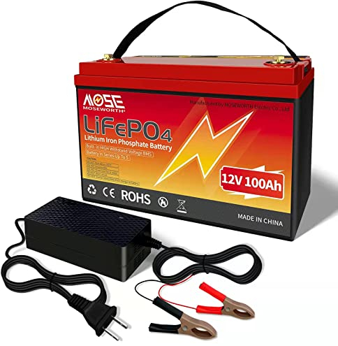 Lifepo4 100Ah 12V Akku, 1280wh Lithium Batterie Wohnmobil, In Reihe BMS-Schutz, 10 Jahre Lebensdauer Ersetzt AGM oder Gel Autobatterie für Wohnmobil, Boot, Camping oder Solaranlage - mit ladegerät