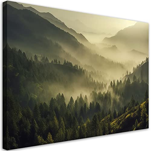 Feeby Impression sur Toile Intissee Forêt Nuages Brume 60x40 cm 1 pièces Tableaux Image Déco Murale Artistique Photographie Design Salon Bureau Couloir Hôtel Spa Collines Nature Arbres vert