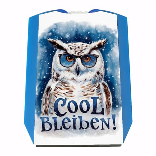 speecheese Cool bleiben Parkscheibe Schneeeule mit Sonnenbrille Lustige Parkscheibe für Autofahrer - mit einzigartigem Eulen-Design
