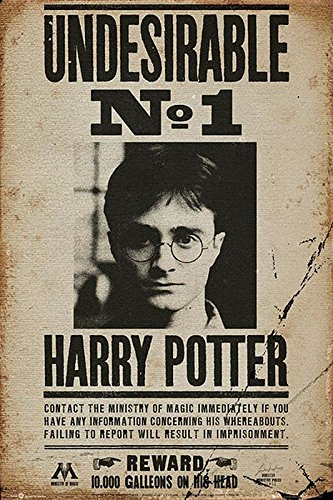 Harry Potter Poster Undesirable No. 1 (61cm x 91,5cm) + 2 St. Schwarze Posterleisten mit Aufhängung