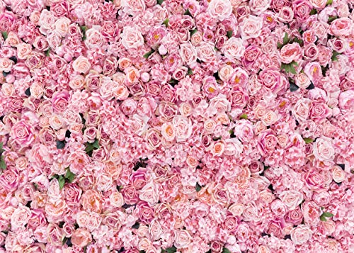 LYWYGG 7x5FT Fleur Fond Mur Fleur Fond 3D Rose Fleur Fond Mariage Fiançailles Mariage Décoration Fête d'anniversaire Fond Studio Fond CP-314