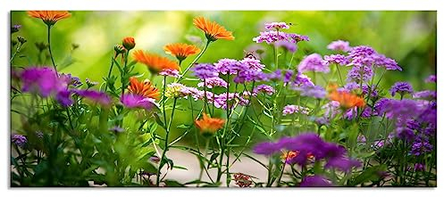 Pixxprint Glasbild Panorama, Wandbild aus Echtglas, Blumenwiese, 120x50 cm, inkl. Aufhängung und Abstandshalter