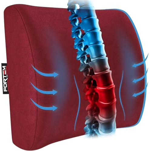 FORTEM Lendenkissen, Rückenkissen, Lordosenstütze Auto, Rückenstütze für Gaming-Stuhl, Memory-Schaum Rückenpolster, Kissen für Schreibtischstuhl, Atmungsaktive & Waschbare Hülle