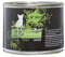 Pets Nature Catz finefood Purrrr No. 105 Lachs | 6x190g