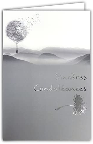 Afie Beileidskarte 64-1034 silber glänzend Landschaft Last Travel zeitgenössisch grafisch grau Deuil Excess geliefert mit weißem Umschlag Format Karte geschlossen 11,5 x 17 cm
