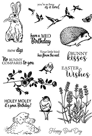 arriettycraft Hase Ostern Tag Frühling Vögel Igel Blumen Lavendel Klar Stempel für Kartenherstellung Dekoration und DIY Scrapbooking Werkzeuge Gummistempel