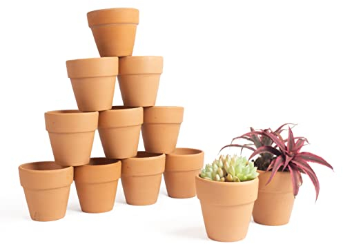 Greenology Lot de 12 petits pots perméables en terre cuite de 6,5 cm pour plantes succulentes, cactus, pépinière, poterie, bricolage, maison, bureau, rebord de fenêtre, décoration
