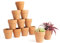 Greenology Lot de 12 petits pots perméables en terre cuite de 6,5 cm pour plantes succulentes, cactus, pépinière, poterie, bricolage, maison, bureau, rebord de fenêtre, décoration