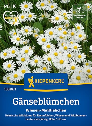 Kiepenkerl Gänseblümchensamen Wiesen-Maßliebchen 1061471, Rasensaat