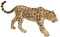 MOJO Leopard Wildlife Tiermodell Spielfigur