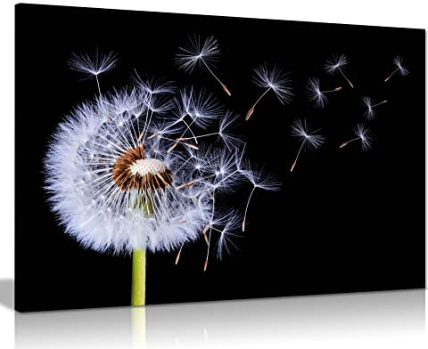 Panther Print Fine Art Prints White Dandelion Blossom Wind Blown Artistic Framed Canvas Print, Pictures for Home Walls, Bedroom, Living Room & Bathroom Decor 61x41cm (24x16in)