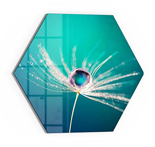 DEQORI Glasbild Echtglas | Motiv Samen mit Wassertropfen | sechseckig einteilig 40x34,5 cm | schöne Dekoration | Wandbild für Wohnzimmer, Schlafzimmer, Flur & Küche | moderne Wanddeko