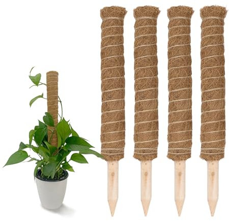Kokos Rankstab 40 cm Natur - 4 Stück - Pflanzstab für Zimmerpflanzen – Blumen Pflanz Stab Topf Rankhilfe Kletterhilfe Kokosstange für Kletterpflanzen