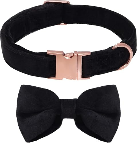 Hundehalsband mit Abnehmbarer Hunde Fliege Komfortable Samtige für Hochzeiten, Geburtstage, Partys Halsband Hund (Schwarz, M)