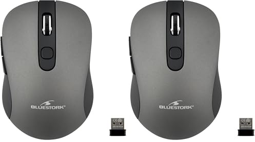 Bluestork Nouveau Souris sans Fil 6 Boutons Gris métal- 2,4 GHz - Jusque 1600 Dpi - Compatible Windows et Mac (Lot de 2)