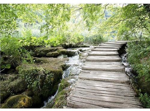 decomonkey Fototapete selbstklebend Waldatur 196x140 cm XL Selbstklebende Tapeten Wand Fototapeten Tapete Wandtapete klebend Klebefolie Landschaft Wasserfall