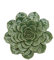 SEINHIJO Keramik Blumen Wanddekoration 3D Blumen Dekor Arts Modern Statue Geschenk Grün 17cm
