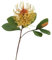 HUFFA Simulierte Blume, einzelner Zweig, Kleiner Fuchsschwanz, Nadelkissen-Blume, künstliche Blume, Wohnzimmer, Eingang, Dekoration, Ornament, Foto-Requisiten (Color : Yellow)