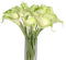 TININNA Realistische künstliche Calla-Lilien, aus Latex, für Hochzeitssträuße, hellgrün