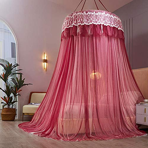 Princess Dome Zanzariera Doppio strato Filato Letto matrimoniale a baldacchino, Tenda da letto sospesa in pizzo per letti singoli o king size Ideale per camera da letto decorativa-Marrone