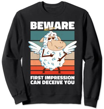 Schaf als Engel. Achtung! Der erste Eindruck kann täuschen Sweatshirt