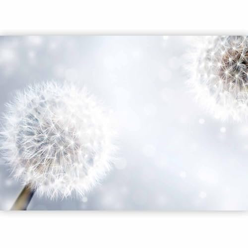 murando - Papier peint panoramique moderne 400x280 cm - Revêtement mural décoration pour chambre salon - Design unique et moderne - Beige gris - Pissenlits fleurs nature plantes 10110906-56