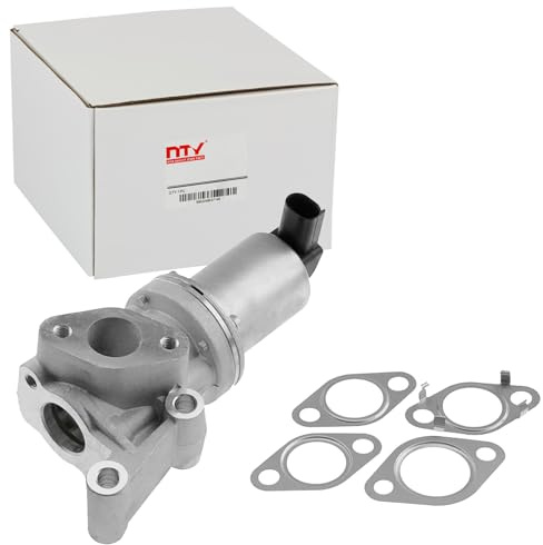 NTY EGR-HY-511 2-Port Flanged Inlet, 1 Inch Outlet Lift Check Valve