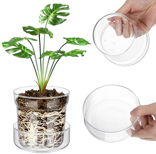 Baderke Lot de 15 pots de fleurs en verre transparent avec soucoupe de drainage