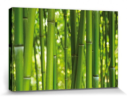 1art1 Bambous Poster Impression sur Toile Forêt De Bambou Affiche Murale XXL Encadrée | Tendue sur Cadre en Bois | Tableau 30x20 cm